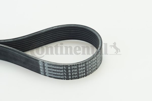 Pasek wieloklinowy do BMW, 8 PK 954 EXTRA, CONTITECH w ofercie sklepu e-autoparts.pl 